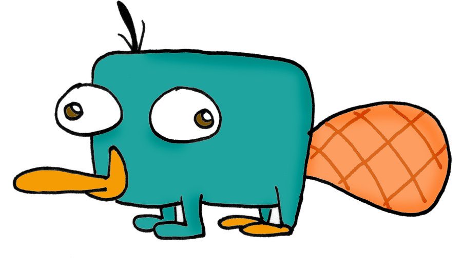 900x535 Cartoon Platypus Pictures