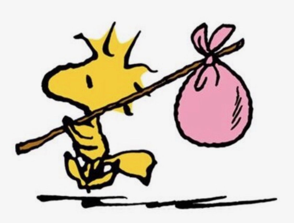 1125x852 Pin By Angel On Woodstock Snoopy