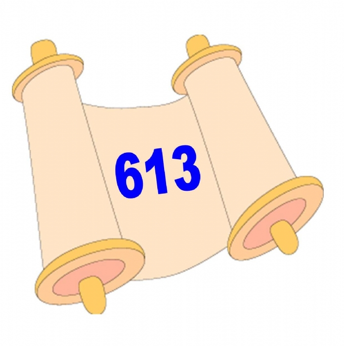 698x702 Torah (Adult)
