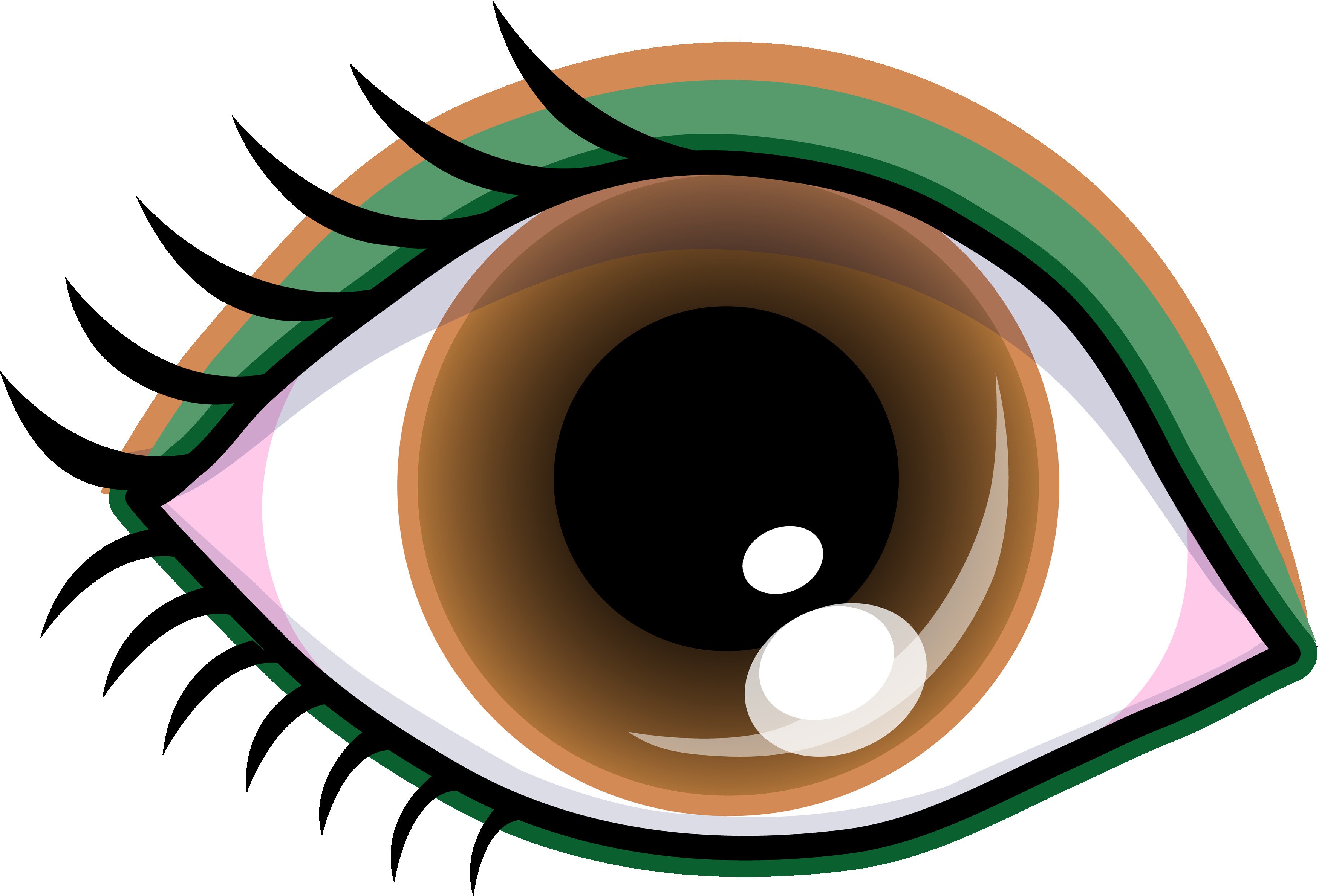 3500x2379 Pretty Brown Eye With Shadow Free Clip Art Endearing Enchanting