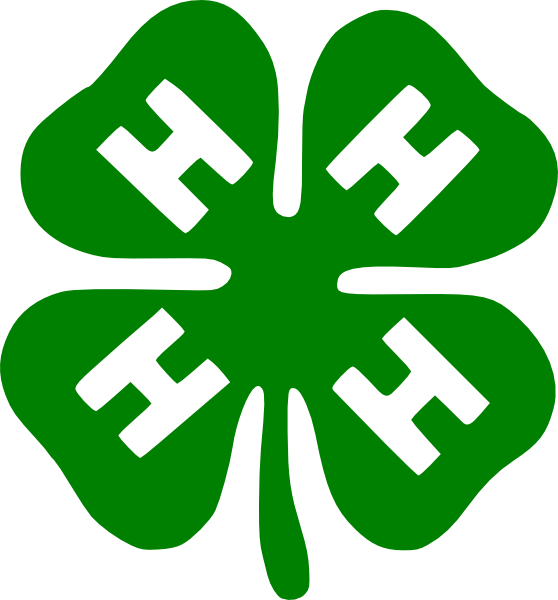 558x600 Shamrock Clip Art Free Vector 4vector
