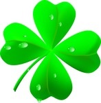 147x150 Four Leaf Clover Made Of Small Leaves Of Shamrock Royalty Free