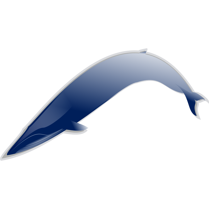 800x800 Blue Whale Clipart Coloring Book