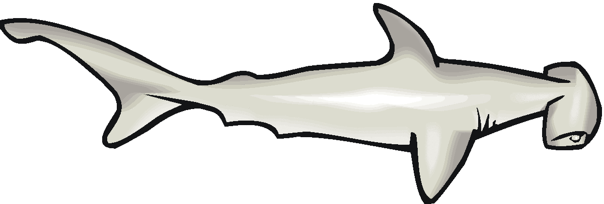 1200x406 Hammerhead Shark Clipart Animated