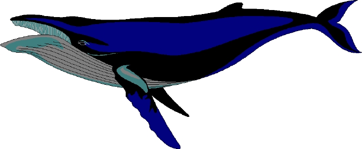 720x297 Killer Whale Clipart Kid