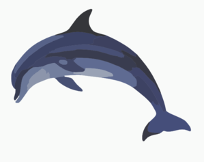 299x237 Porcbd In Bottlenose Dolphina Clip Art