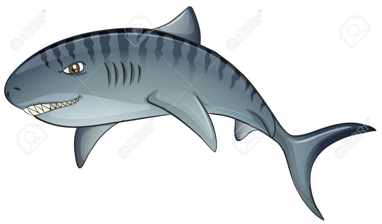 1300x763 Free To Share Tiger Shark Clipart Clipartmonk Clip Art Images