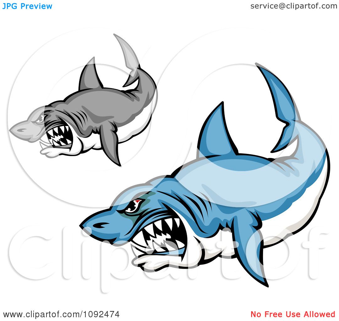 1080x1024 Great White Shark Clipart