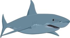 Shark Clipart at GetDrawings | Free download