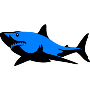 300x300 Image Of Shark Clipart