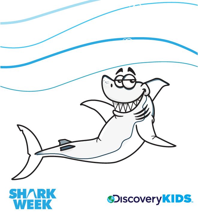 660x734 Sitting Shark Coloring Pages Shark, Pet Shop