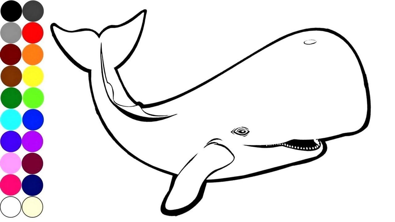 1280x720 Delivered Coloring Picture Of A Whale Pages Wk