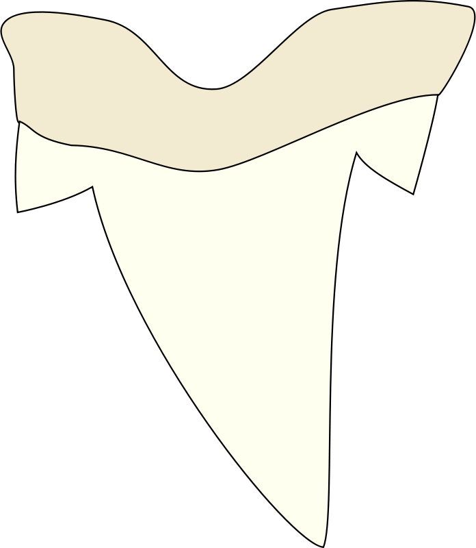 696x800 Free Clipart