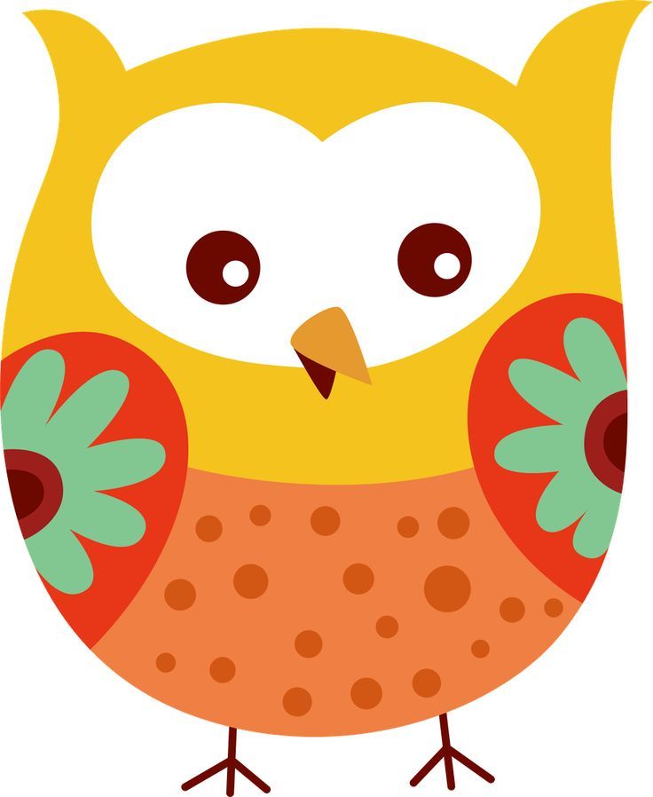 736x898 Pin By Anita Ratajczak On Sowy Owl, Owl Pictures