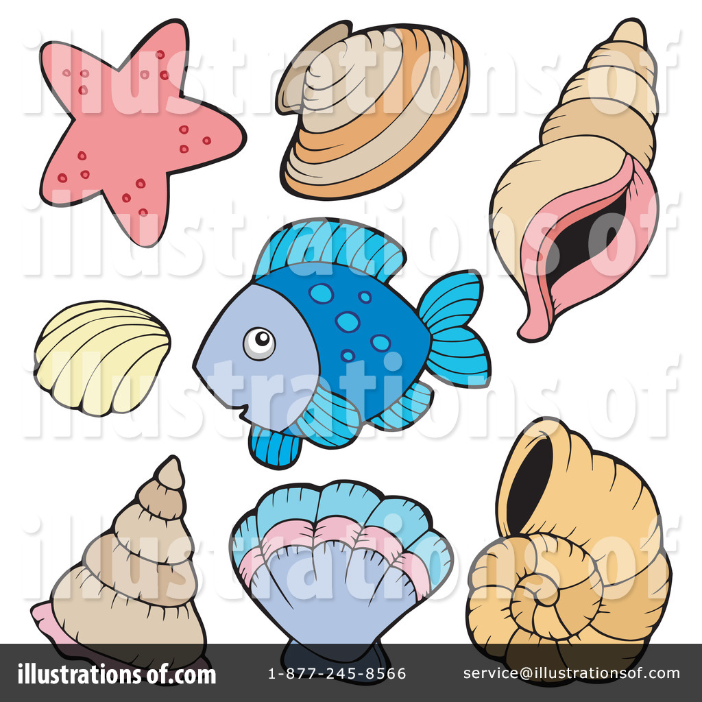 1024x1024 Clip Art Shells Clip Art