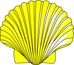 300x266 Shell Clipart Shell Clip Art