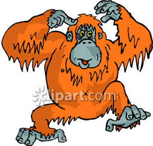 300x286 Orangutan Clip Art Royalty Free Clipart Picture