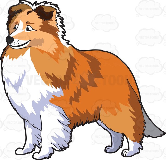 640x617 Sheltie Clip Art Etsy 2823568