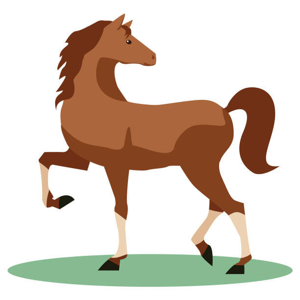 612x612 Pony Clipart Walking Horse