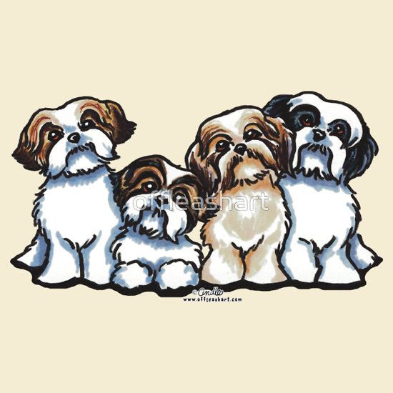 Shih Tzu Clipart at GetDrawings | Free download