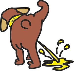 300x288 Pin By Darylleen Corry On Backgrounds, Clipart, Images Etc