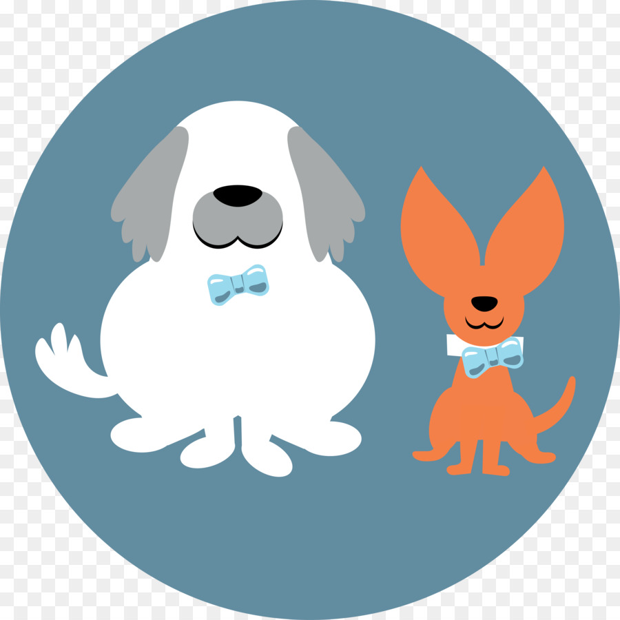 900x900 Shih Tzu Puppy Canidae