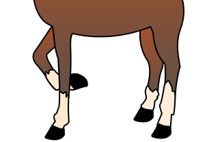303x207 Cartoon Horse Images Group