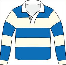 220x215 Blue Polo Shirt Clip Art Clipart Panda