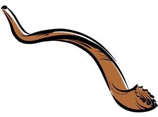 325x241 Happy Rosh Hashanah 100 Images Of Jewish High Holy Days