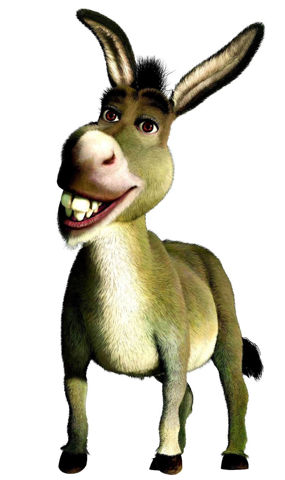 950x1600 Joan's Blog The Boy With The Donkey