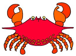 Shrimp Clipart