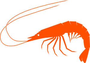 300x213 Orangeshrimp Clip Art
