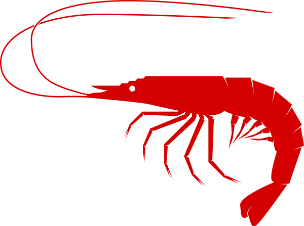 600x447 Shrimp Clip Art
