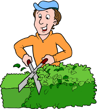 313x350 Bush Clipart Hedge