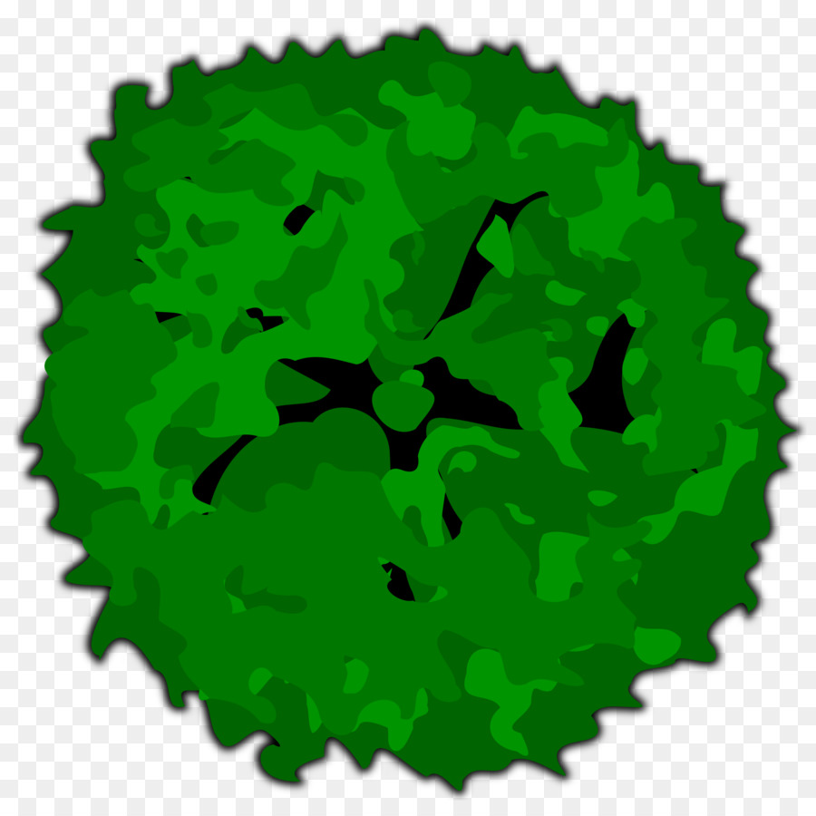 900x900 Tree Shrub Stock Photography Clip Art