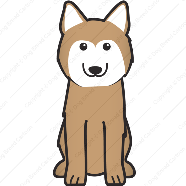 600x600 Siberian Husky