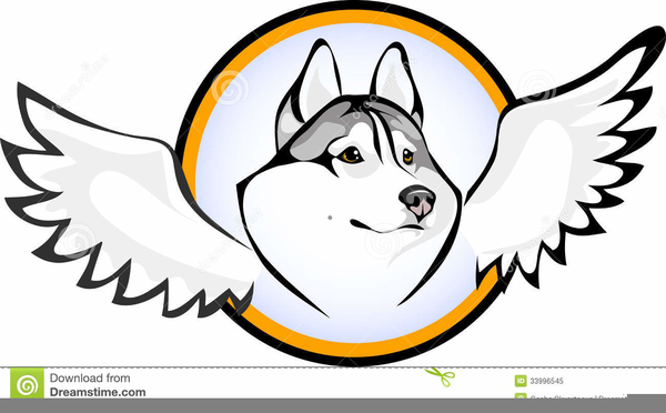 600x372 Angel Wings Clipart Free Download Free Images