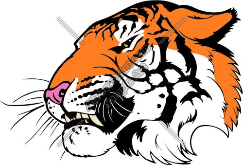 500x339 35 Best Tiger Clip Art Images On Clip Art, Clipart