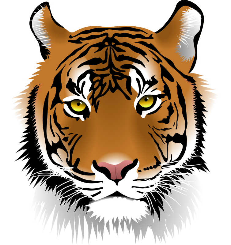 754x800 Tiger Clip Art Images Free For Commercial Use Spanish Classroom