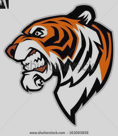 411x470 Tiger Drawing Clipart Clipartpig