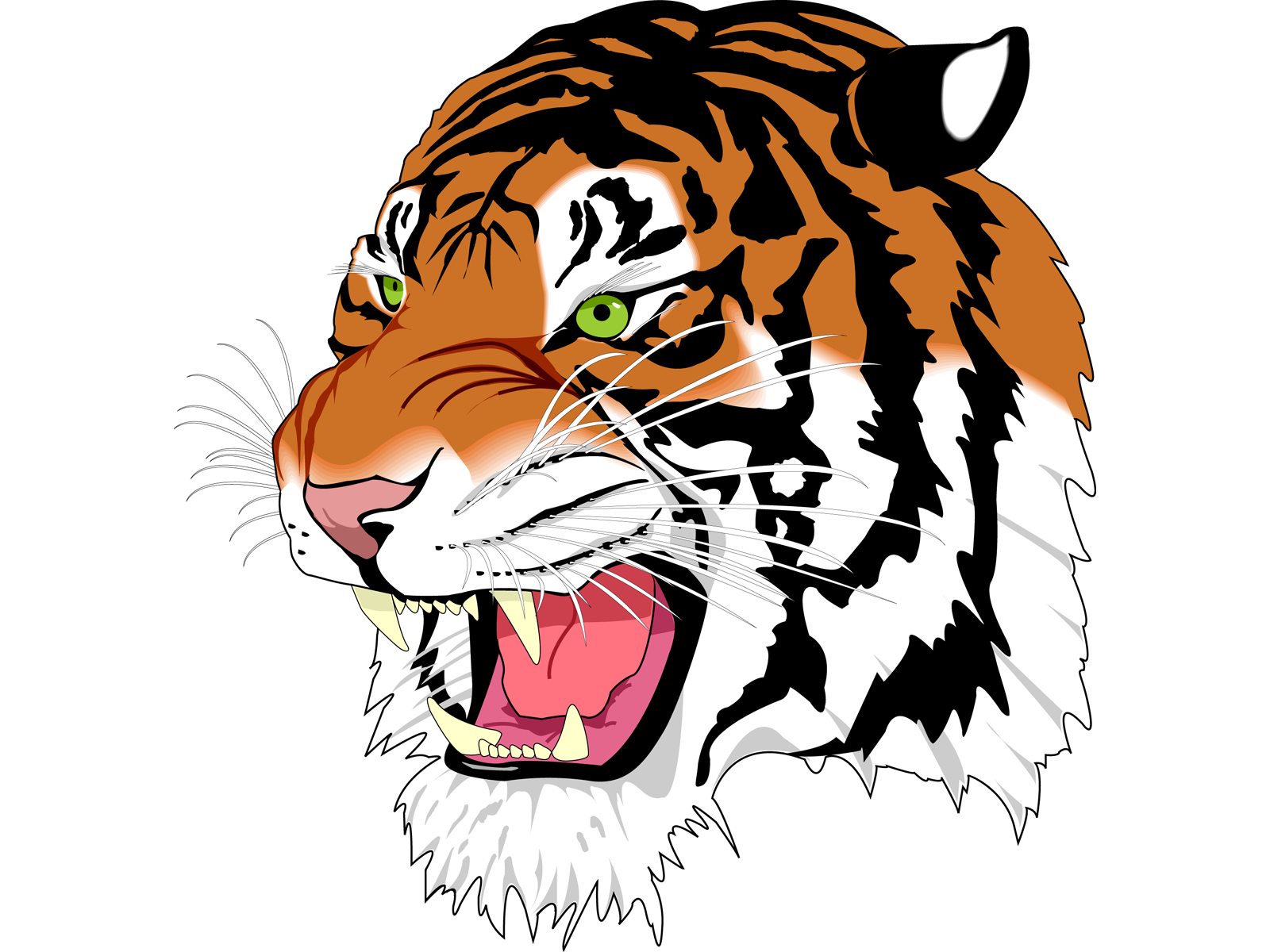 1600x1200 Tiger Face Clipart Isolated Stock Photo By Tattoos
