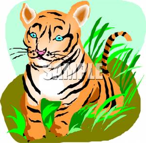 300x295 A Tiger Cub In Grass Clipart Picture