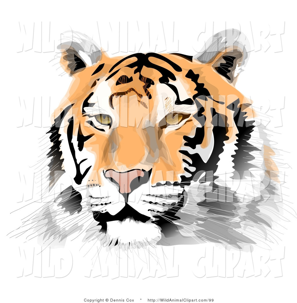 1024x1044 Baby Tiger Face Clip Art Clipart Panda