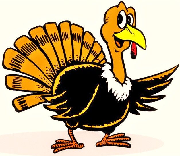 627x543 Turkey Pictures Clip Art Funny