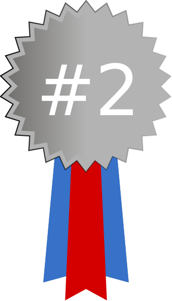 342x596 Download Silver Medal Free Png Transparent Image And Clipart