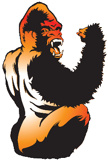 211x316 Silverbacks Modern Martial Arts, Civilian Self