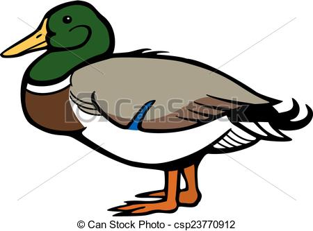 450x333 Top 90 Mallard Clip Art