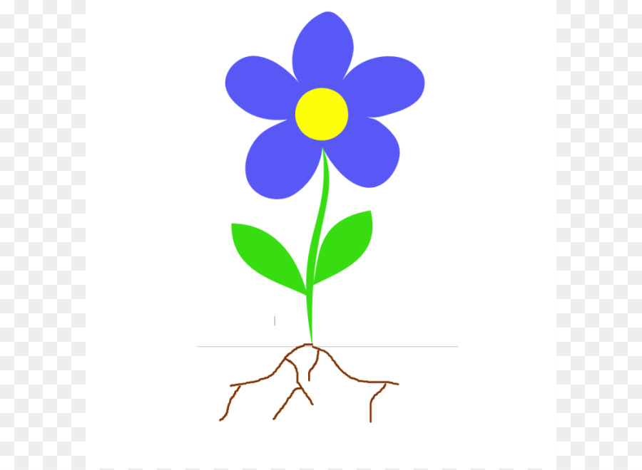 900x660 Root Plant Stem Flower Clip Art