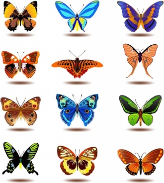 Download Simple Butterfly Clipart at GetDrawings.com | Free for ...