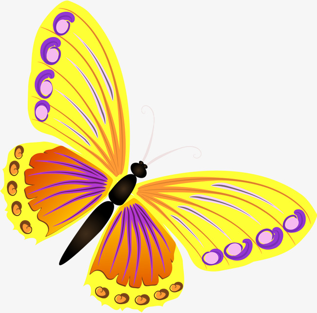 650x643 Yellow Butterfly, Yellow, Simple, Butterfly Png Image And Clipart